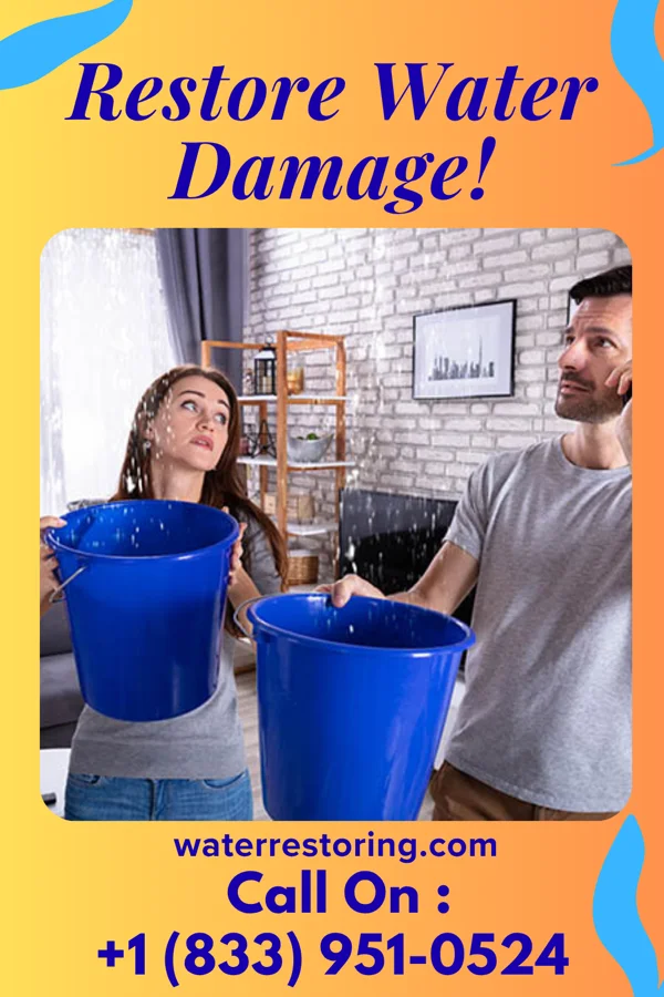 water restoration Premier Flood Damage Company Raymondville