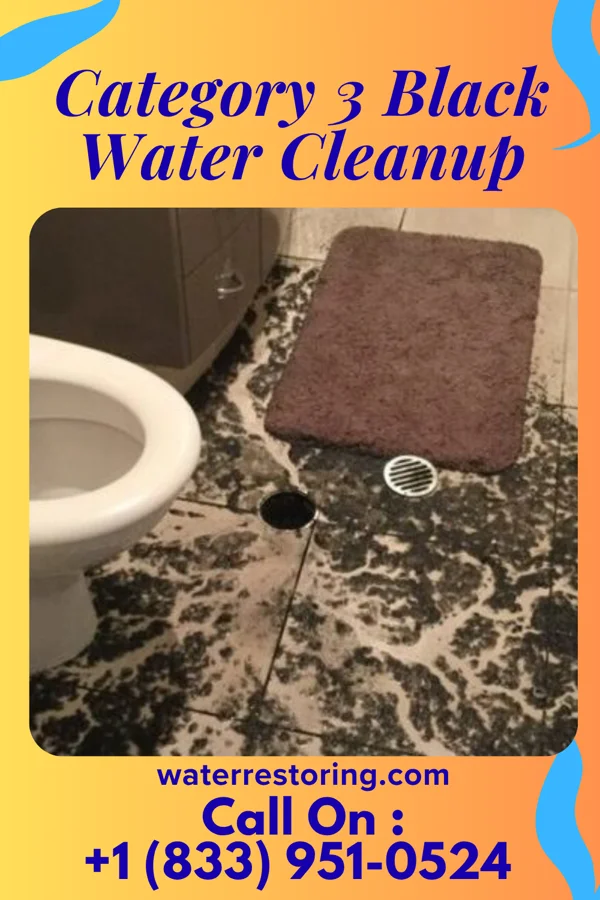 Category 3 Black Water Cleanup in Raymondville, MO
