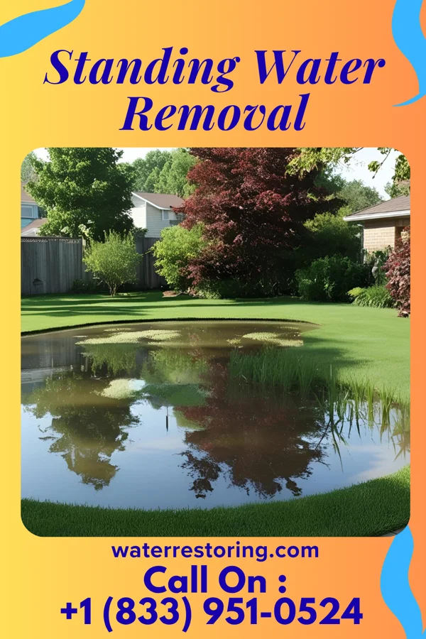 Standing Water Removal in Raymondville, MO